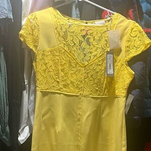 New York & Company Sunny Yellow Lace Dress